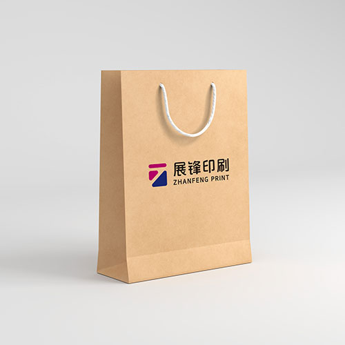 广州粽子礼盒手提袋 |礼品袋 |纸袋